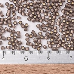 MIYUKI Delica Beads&nbsp;SEED-JP0008-DB2184