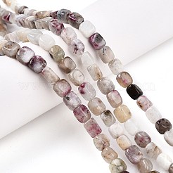 Natural Plum Blossom Tourmaline Beads Strands&nbsp;G-T141-12A