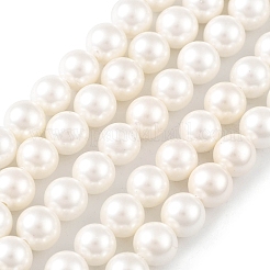 Shell Pearl Bead Strands&nbsp;X-BSHE-L026-03-6mm