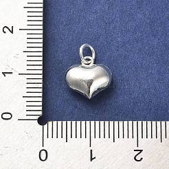 925 Sterling Silver Pendants&nbsp;STER-P057-07D-S