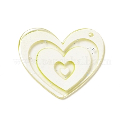Transparent Plastic Pendants&nbsp;KY-P014-01G