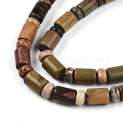 Natural Picasso Jasper/Polychrome Jasper Beads Strands&nbsp;G-N346-03A-05