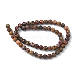 Natural Leopard Skin Jasper Beads Strands&nbsp;G-J358-05-6mm