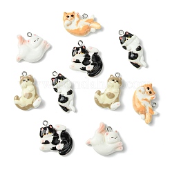 30Pcs 5 Styles Opaque Resin Pendants&nbsp;RESI-CJC0011-77