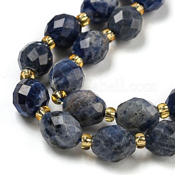 Natural Sodalite Beads Strands&nbsp;G-N342-57