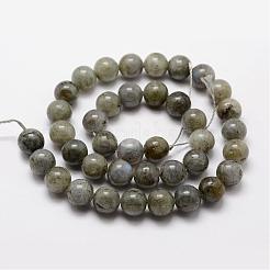 Natural Labradorite Bead Strands&nbsp;G-O155-05A-10mm