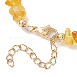 Natural Amber Chip Beaded Necklaces for Women&nbsp;NJEW-JN05871