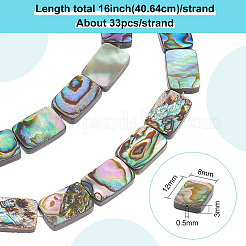 1 Strand Natural Abalone Shell/Paua Shell Beads Strands&nbsp;BSHE-BC0001-12