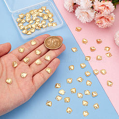 304 Stainless Steel Charms&nbsp;STAS-UN0007-26G
