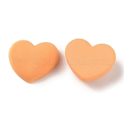 Resin Cabochons&nbsp;CRES-J042-05B