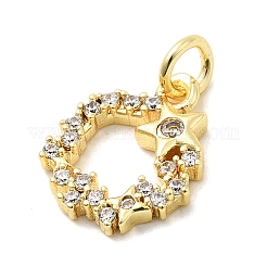 Brass Micro Pave Cubic Zirconia Charms&nbsp;KK-C139-12G