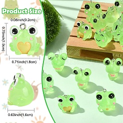 24Pcs 6 Styles Luminous Frog Resin Pendants&nbsp;RESI-YW0006-19