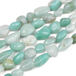 Natural Amazonite Nuggets Beads Strands&nbsp;G-J335-31B