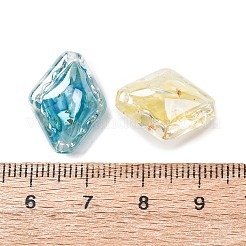 Transparent Resin & Natural Shell Beads&nbsp;RESI-B039-06