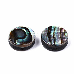 Natural Abalone Shell/Paua Shell Beads&nbsp;SSHEL-T014-14B