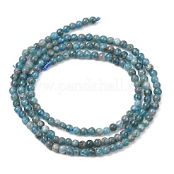 Natural Apatite Beads Strands&nbsp;G-H358-A12-3mm-01