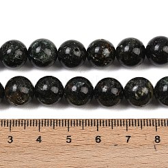 Natural Seraphinite Beads Strands&nbsp;G-H337-A03-05