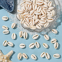 100Pcs Natural Cowrie Shell Beads&nbsp;BSHE-LT0001-07B