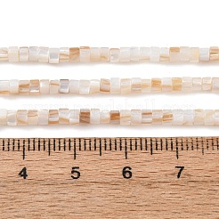 Natural Freshwater Shell Beads Strands&nbsp;X-SHEL-K006-72A