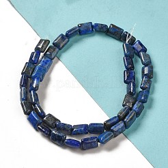 Natural Lapis Lazuli Beads Strands&nbsp;G-G085-A02-01