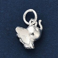 925 Sterling Silver Pendants&nbsp;FIND-Z069-02S