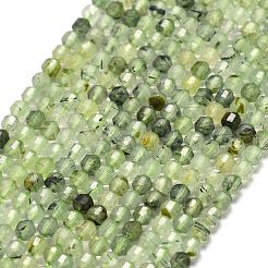 Natural Prehnite Beads Strands&nbsp;G-A260-A34-01