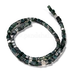 Natural Moss Agate Beads Strands&nbsp;G-F631-K13