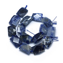 Natural Sodalite Beads Strands&nbsp;G-F655-06