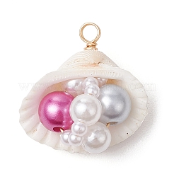Natural Clam Shell Pendants&nbsp;PALLOY-JF03551