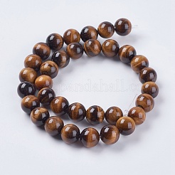 Nattural Tiger Eye Beads Strands&nbsp;G-GSR12mmC014-A