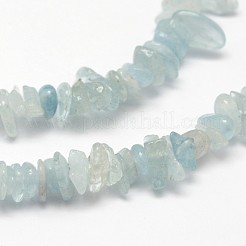 Chips Natural Aquamarine Beads Strands&nbsp;G-N0164-51