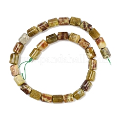 Natural Dragon Blood Jasper Beads Strands&nbsp;G-S396-03C