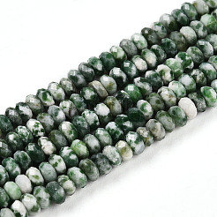 Natural Green Spot Jasper Beads Strands&nbsp;G-T141-41
