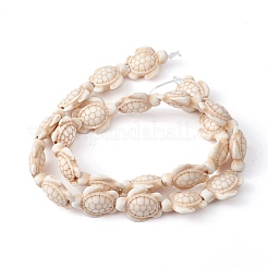 Dyed Synthetic Turquoise Beads Strands&nbsp;G-YW0001-51