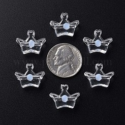 Transparent Acrylic Beads&nbsp;LS-MACR-S373-105-B08