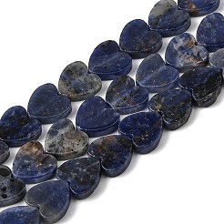 Natural Sodalite Beads Strands&nbsp;G-M403-A08-03