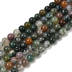 Natural Indian Agate Beads Strands&nbsp;G-A248-A01-01