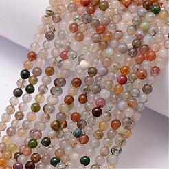 Natural Indian Agate Bead Strands&nbsp;G-K146-62-3mm