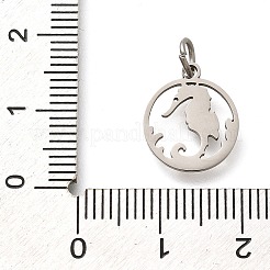 304 Stainless Steel Charms&nbsp;STAS-Z119-06P