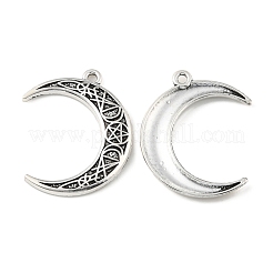 Tibetan Style Alloy Pendants&nbsp;FIND-A030-01AS
