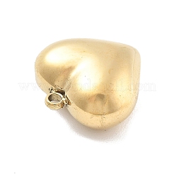 316 Surgical Stainless Steel Pendants&nbsp;STAS-A108-01A-G