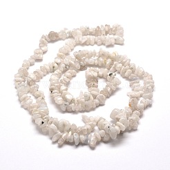 Natural Rainbow Moonstone Chip Bead Strands&nbsp;X-G-M205-62