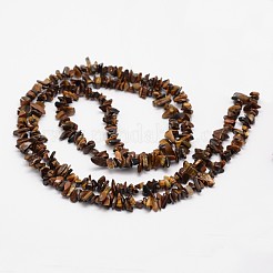 Chips Natural Tiger Eye Beads Strands&nbsp;G-N0164-66