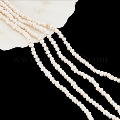 2 Strands Natural Cultured Freshwater Pearl Beads Strands&nbsp;PEAR-NB0002-35
