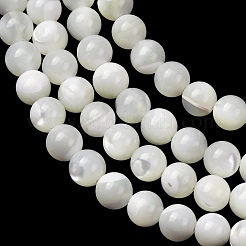 Natural Trochid Shell/Trochus Shell Beads Strands&nbsp;SH-CBA2978-16A