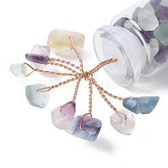 Natural Fluorite Chips Tree Decorations&nbsp;LS-DJEW-P021-E03