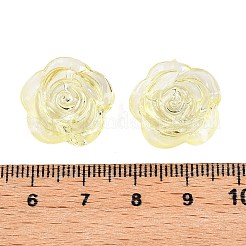 Transparent Acrylic Beads&nbsp;LS-OACR-N137-32D
