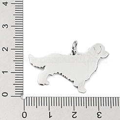 Non-Tarnish 304 Stainless Steel Pendants&nbsp;STAS-E205-10P