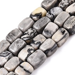 Natural Map Stone Beads Strands&nbsp;G-T138-98