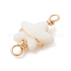 2Pcs 2 Styles Natural Freshwater Shell Copper Wire Wrapped Connector Charms&nbsp;PALLOY-JF02439